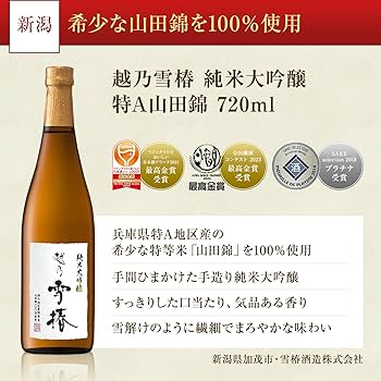 純米大吟醸5本入り　まとめ売り　日本酒飲み比べ　720ml×11 500ml×1 日本酒 53%OFF！純米大吟醸入 大吟醸 720ml 5本 飲み比べセット